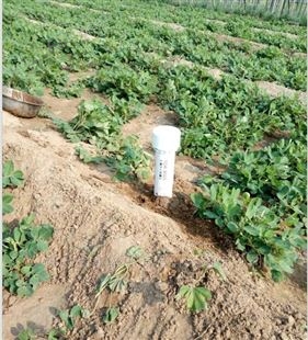 山东 TDR土壤水分测量仪
